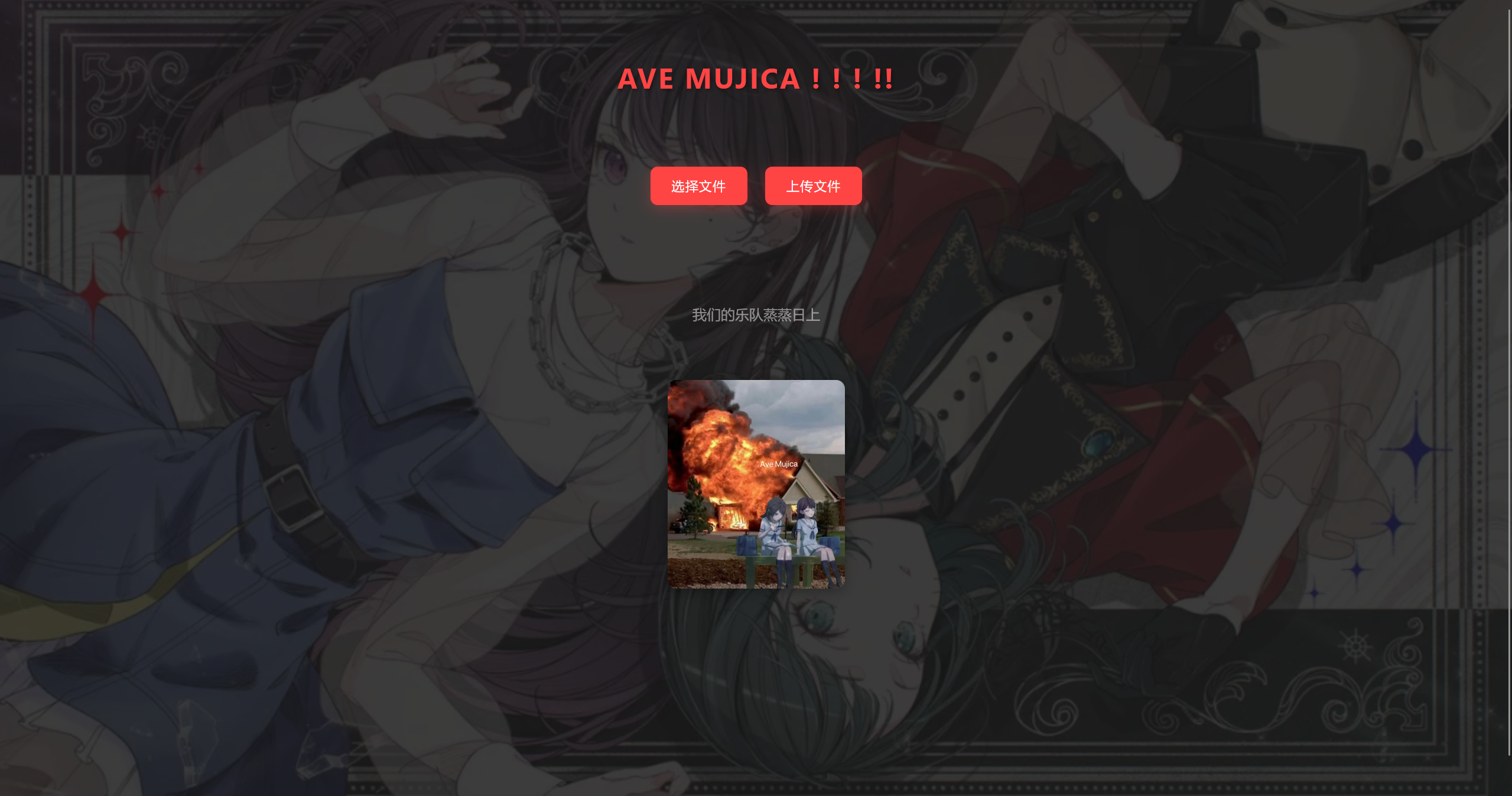 image-20250218133612865