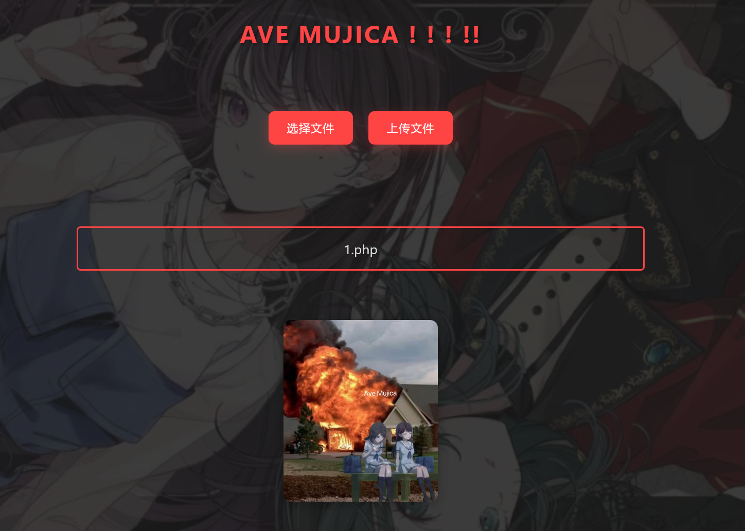 image-20250218134014939